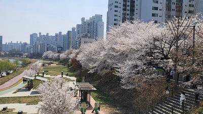 메인사진