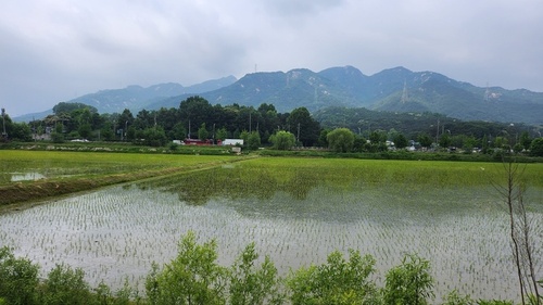 메인사진