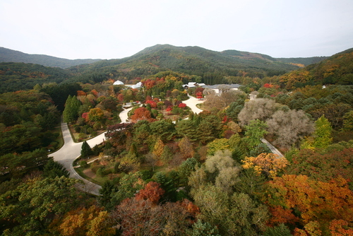 메인사진